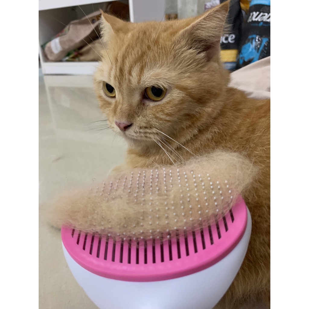 Lược chải lông mèo có nút bấm cho mèo lông dài và lông ngắn - XOIML