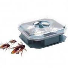 dụng cụ bắt gián[Giảm giá sốc]