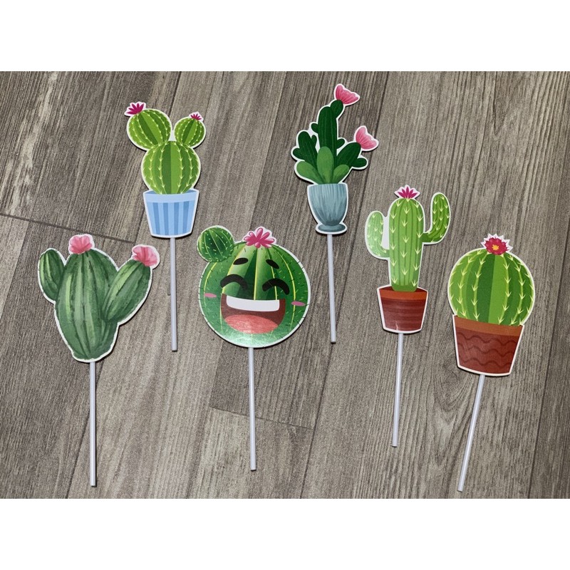 10 set cắm giấy sương rồng VN-Q3010