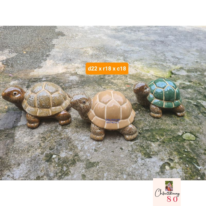 Rùa men LỚN trang trí sân vườn, tiểu cảnh
