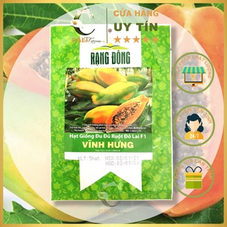 Hạt giống Đu Đủ Ruột Đỏ Vĩnh Hưng Siêu Trái 5 Hạt