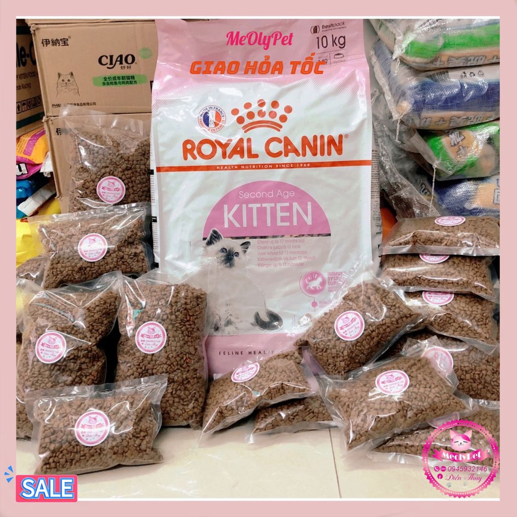 🐱[HÀNG CÓ SẴN]🐱 Thức ăn khô cho mèo Royal Canin Kitten 36 túi 1kg ⭐