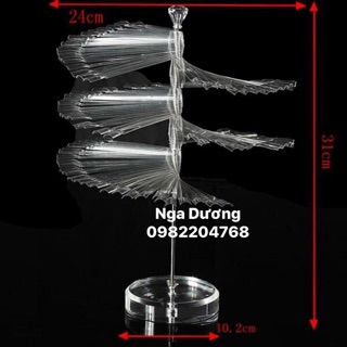 Móng cây xoay làm mẫu móng nail mầu trong và đục