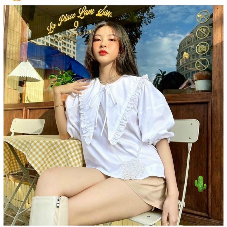 Áo sơmi cổ bèo lá lớn siêu xinh