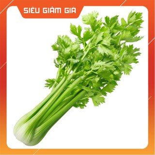 Hạt Giống Rau Cần Tây Cọng Xanh 5 Gram