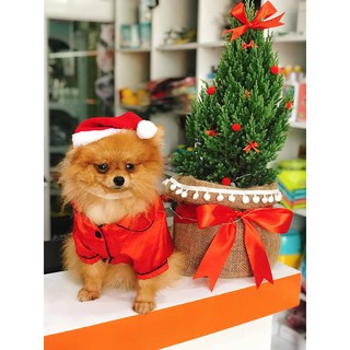 Áo Pijama lụa đỏ dành cho chó mèo