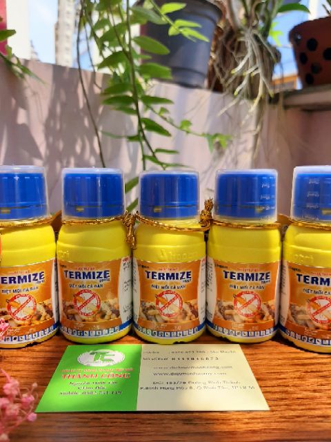 Thuốc diệt mối Termize 50ml Malaysia diệt cả đàn