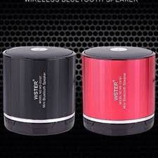 Loa bluetooth Wireless Speaker Sheel WS-230BT