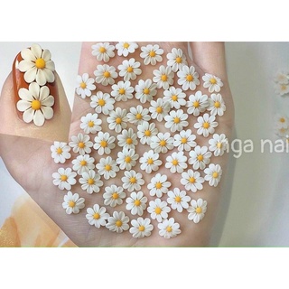 Hoa bột cúc hoạ mi(giá 1 bông)