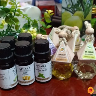 Combo 2 tinh dầu thiên nhiên lọ 10ml xông hoặc treo thơm phòng nhiều mùi như sả chanh, quế...
