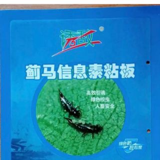 Tấm dính bọ trĩ