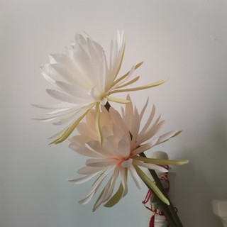 Hoa lụa chụp ảnh ( hàng order )