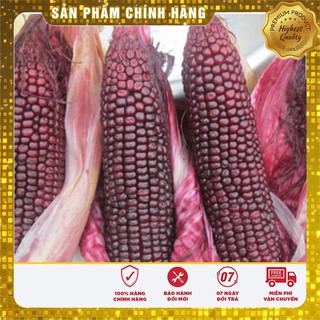 Hạt giống Ngô Nếp Tím dinh dưỡng ( gói lẻ 20 hạt)