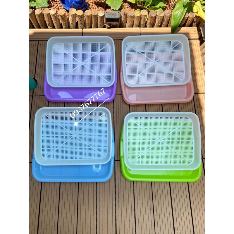 khay trồng rau mầm