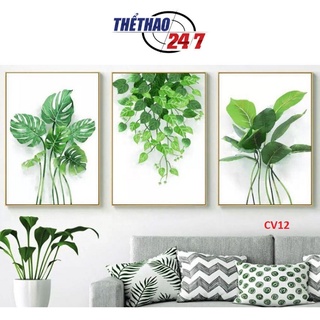 TRANH CANVAS, BỘ 3 TRANH CANVAS CAO CẤP