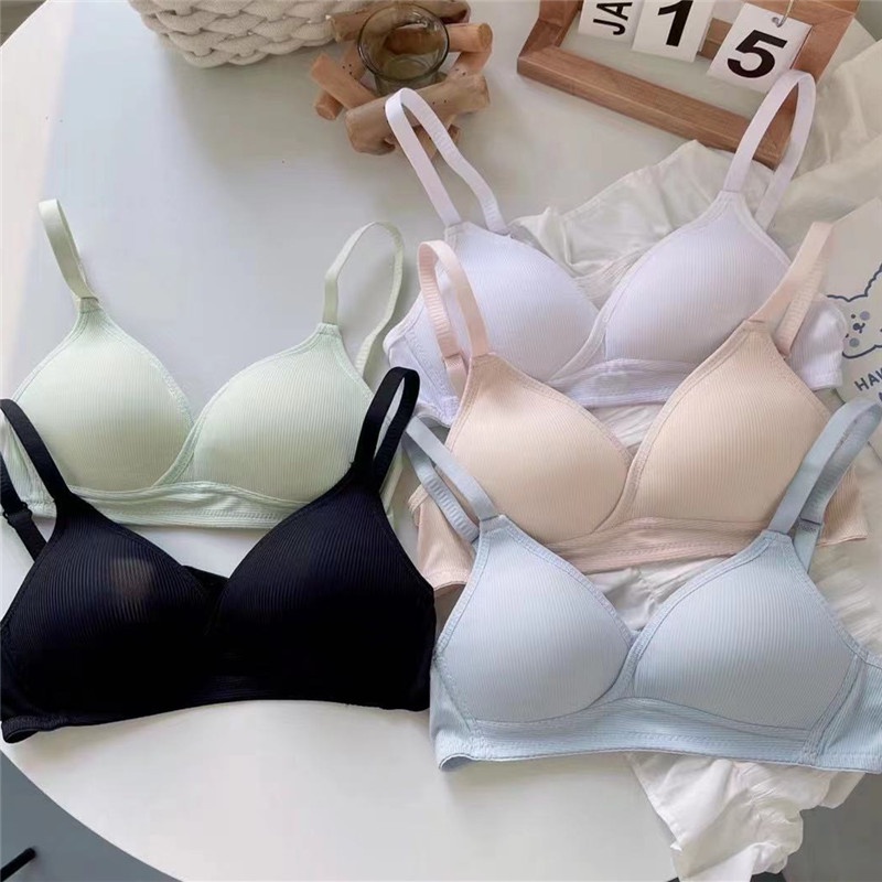 Áo ngực không gọng cotton - Áo lót nữ 3 nấc cài mút mỏng ZANA BRA A919