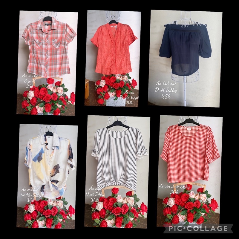 Áo sơ mi màu kiểu