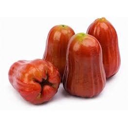 Mận An Phước Tươi (1Kg) - Trái Cây Tươi Hoa18