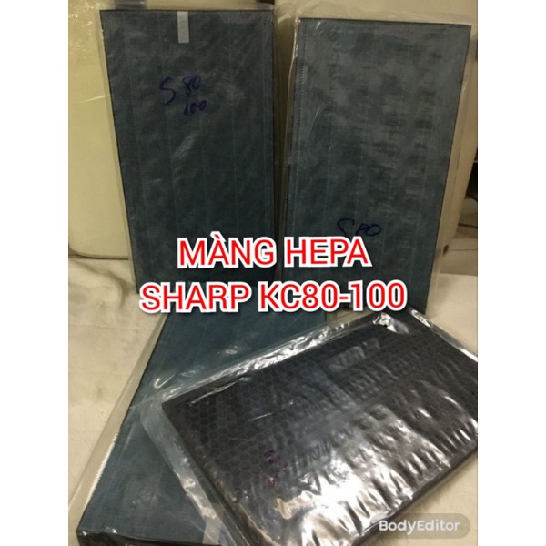 Màng Lọc HEPA Máy Lọc Sharp  - S80 S100 (kích thước 450x250x40mm)