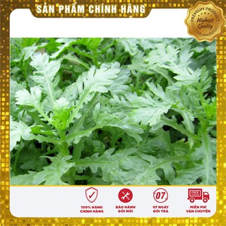 Hạt giống Cải Cúc 20gram [Bán Sỉ]
