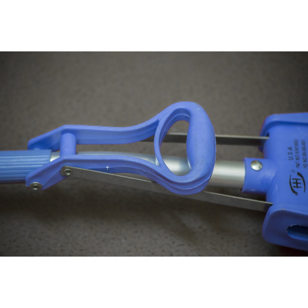 Cây lau mút siêu thấm hút