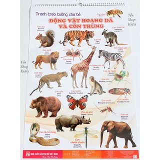 Bộ Tranh Treo Tường Cho Bé