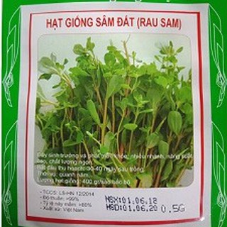 Hạt giống  sâm đất ( rau sam ) - Gói 0,2gram