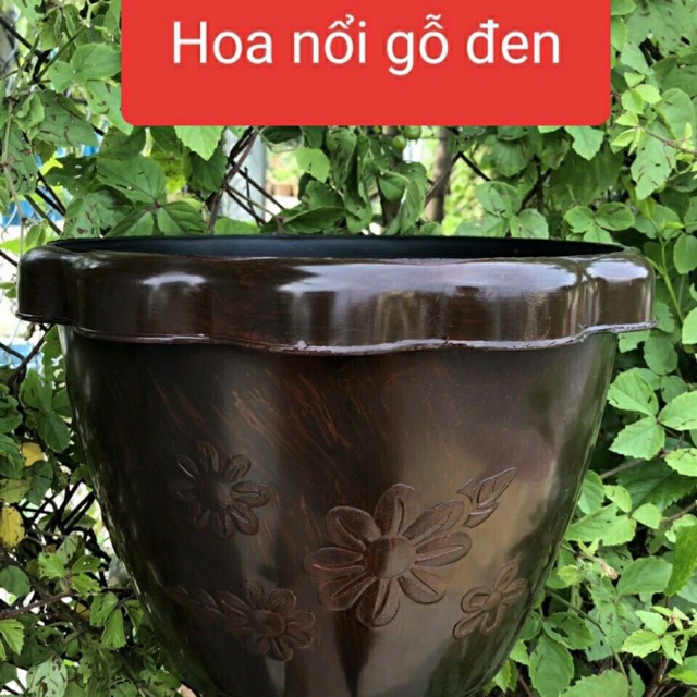 [Mới] Chậu trồng cây màu gỗ