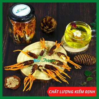 Đông Trùng Hạ Thảo Ký Chủ Nhộng Tằm Biogreen Ngâm Rượu