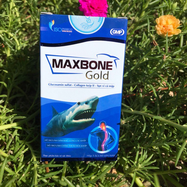 Maxbone Gold Isopharco - Hỗ trợ giảm đau xương khớp, thoái hóa khớp (60 viên)