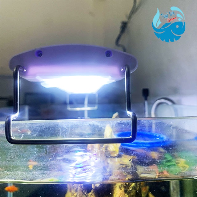 Đèn máng hồ cá thuỷ sinh đủ kích thước giúp cây phát triển, cá lên màu , độ bền cao tiết kiệm điện