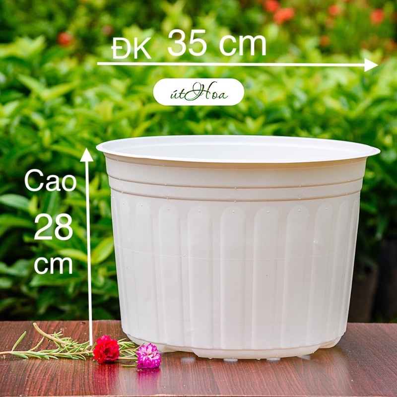 [Sỉ từ 20 cái] Chậu nhựa trắng T35 (35x28 cm) size lớn nhất