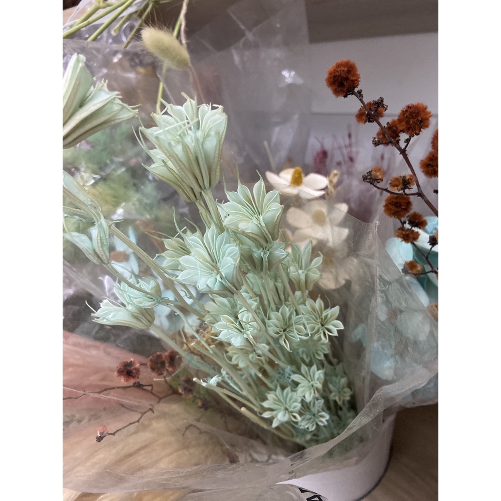 Hoa khô trang trí hoa bát giác khô 8 cánh Nigella, nhiều màu sắc nhẹ nhàng vintage chụp hình dễ thương, làm đồ hanmade