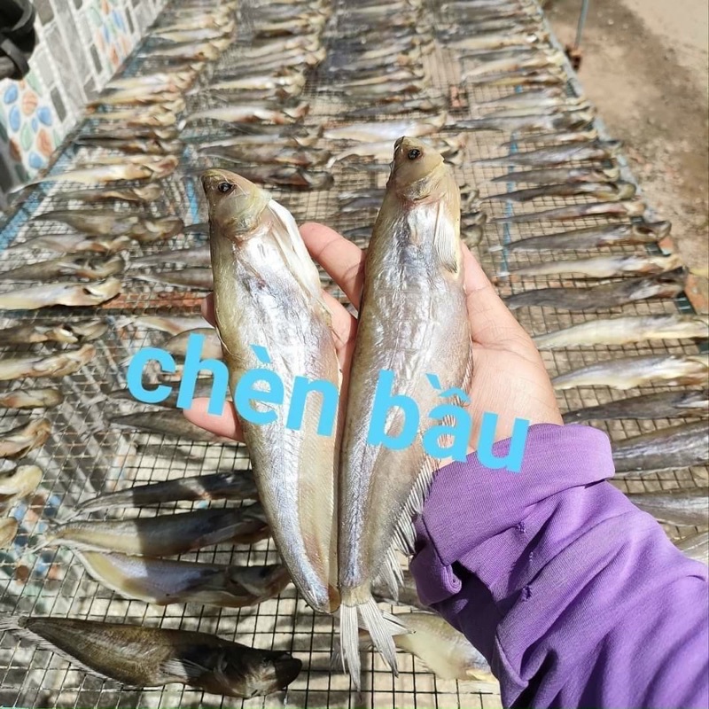 Khô cá Trèn đặc sản An Giang “Tuyền Food” túi 500g hút chân không