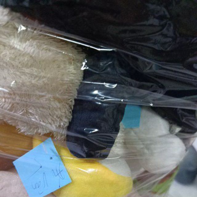 Gấu ái vân