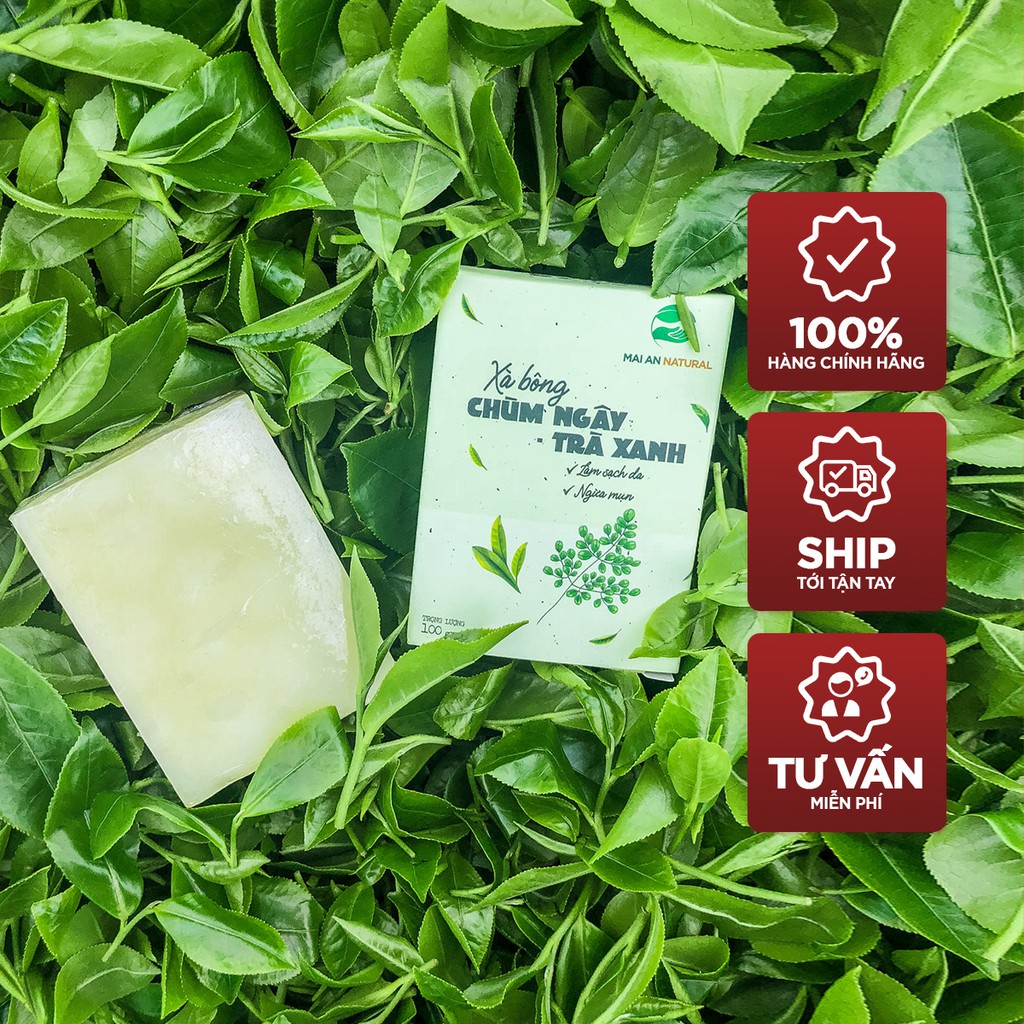 Xà Bông Trà Xanh Chùm Ngây - Sạch da - Dưỡng Da | BigBuy360 - bigbuy360.vn
