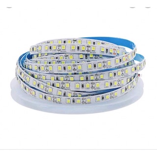 đèn led cuộn 5 mét