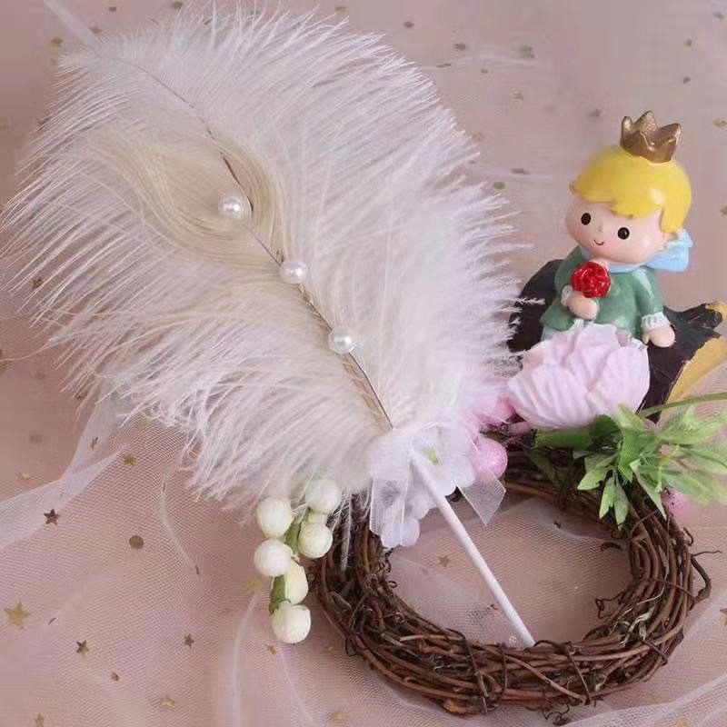 Lông vũ chụp ảnh mẫu móng , nail