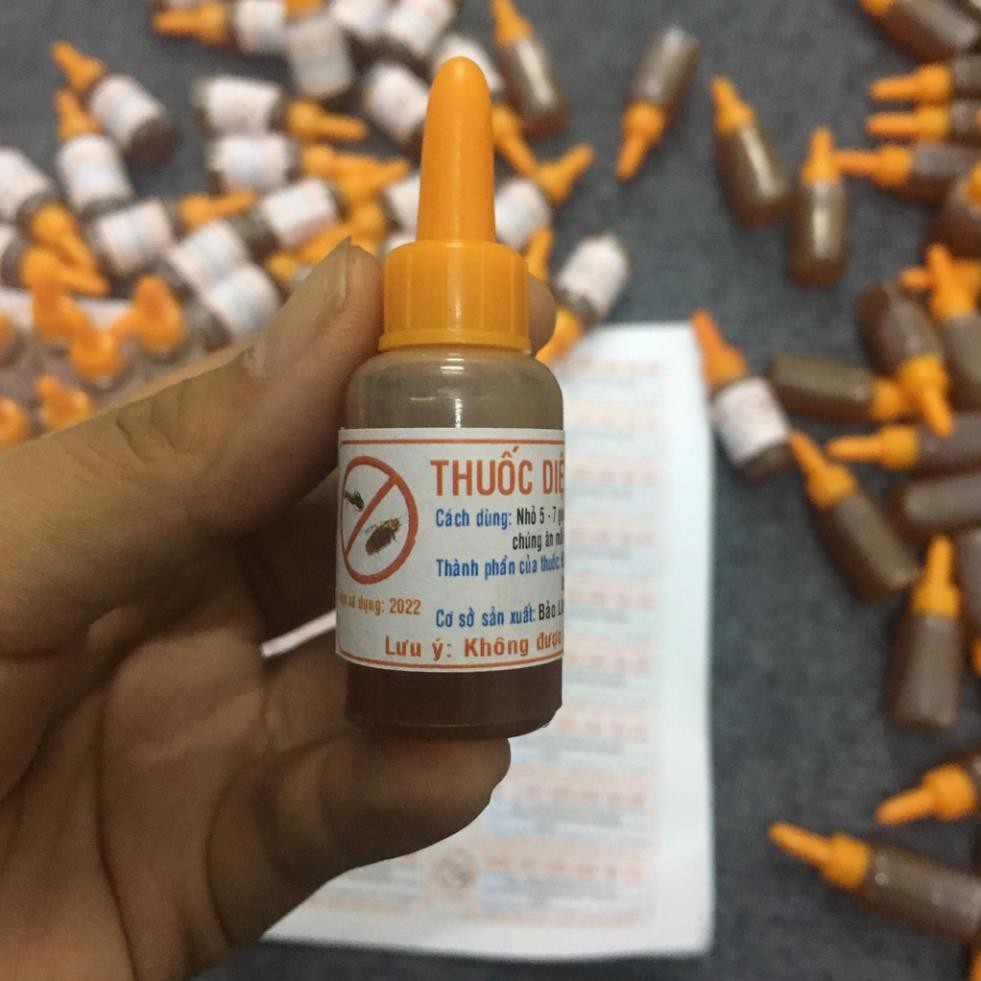 Thuốc diệt kiến gián sinh học chết tận gốc