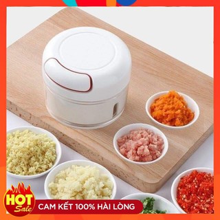 Máy xay tỏi ớt cầm tay đa năng