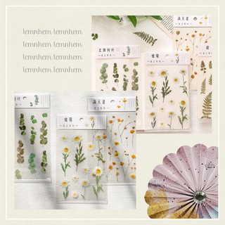 Đơn Gom Hàng Sỉ Lẻ, CTV | BigBuy360 - bigbuy360.vn