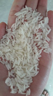 Nếp Thái Lan -5kg