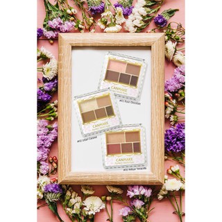 Phấn mắt 5 màu Canmake Perfect Multi Eyes