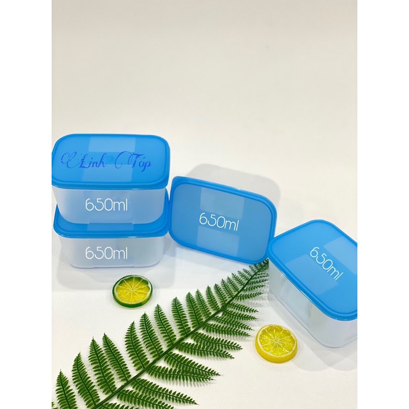 Hộp trữ đông Freezermate 300ml, 650ml, 1.7L, 3.1l | BigBuy360 - bigbuy360.vn