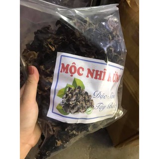 mộc nhĩ rừng