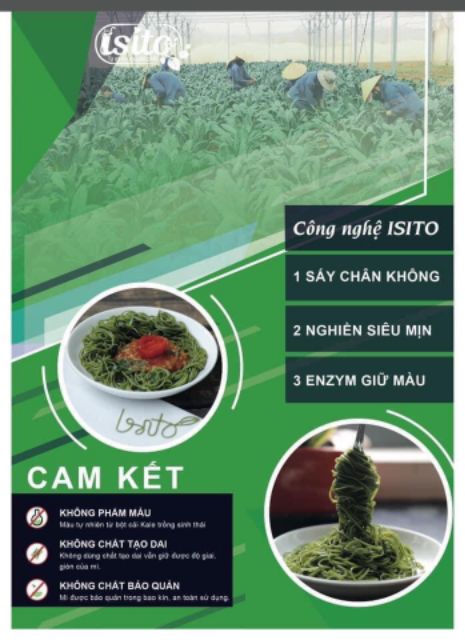 Mì rau cải Kale Organic gói 500g (2 gói 250g mẫu mới)