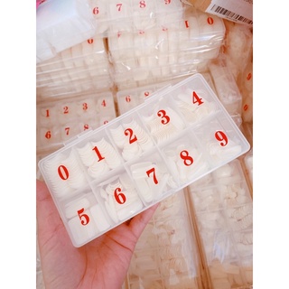 Hộp Móng úp chân phom dài