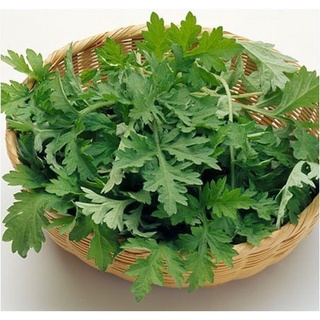 Bột Ngải Cứu 500g - 1kg