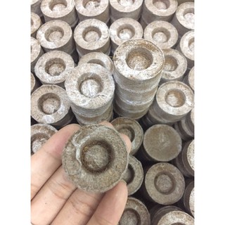 Combo 20 Viên Nén Ươm Hạt- Viên nén xơ dừa kích mầm hạt giống + Tặng 1 gói Atonik Kích thích sinh trưởng cho cây trồng.