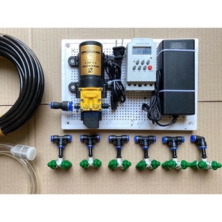 Bộ phun sương tự động ( hẹn giờ or smart wifi) bơm đơn Sinleader 6 8 béc 4 hướng tưới lan, tưới cây rau 12m2